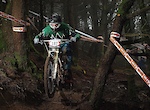 2011 Halo BDS Round 1 Nant G