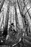- Rob Cronin Photo