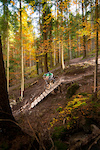 Bongo Bongo trail in Leogang, October 2010, Scott Voltage FR 20 2010