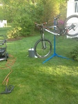 shes getting a cleaning!