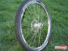 Bombshell New Wheel Colors
