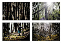 4 pictures

photo by www.wolisphoto.com