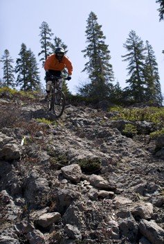 A section of the DH course.