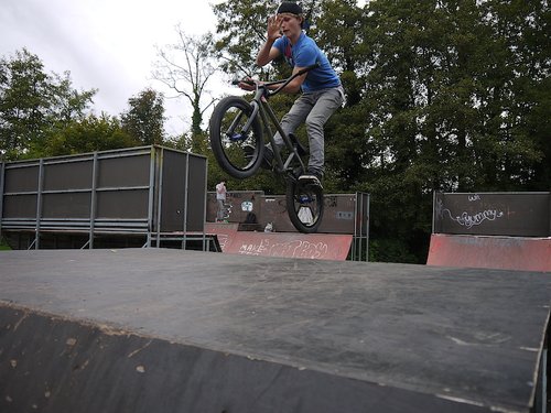 <em>bashie</em> on pinkbike
