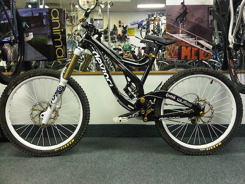 2011 Devinci Wilson