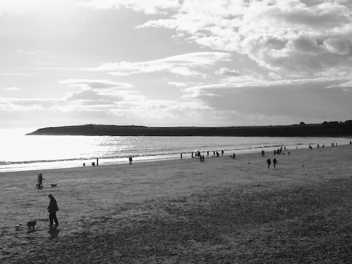 Various pics taken today down the beach. Black and white for a different effect....