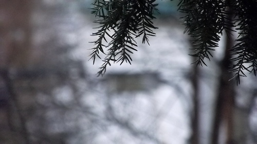 photography stuffs