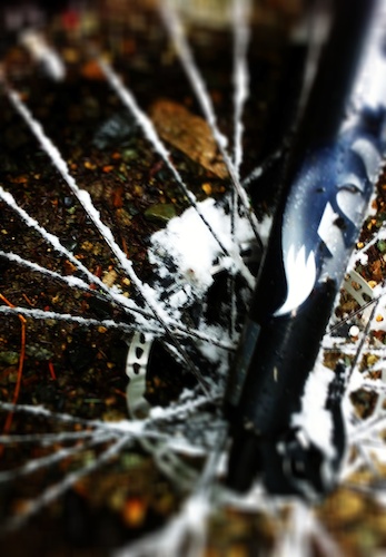 Gotta love snow riding!