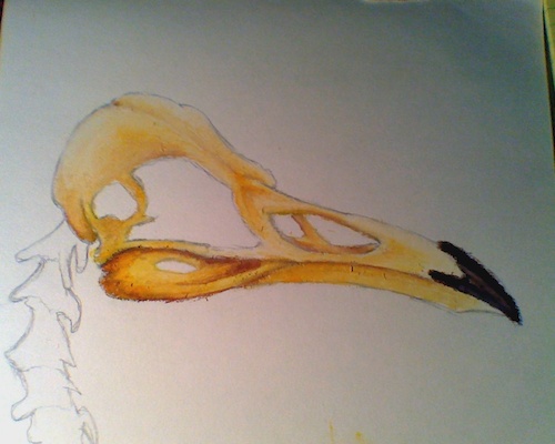 Did this when I was bored. Oil pastels. Not finished.