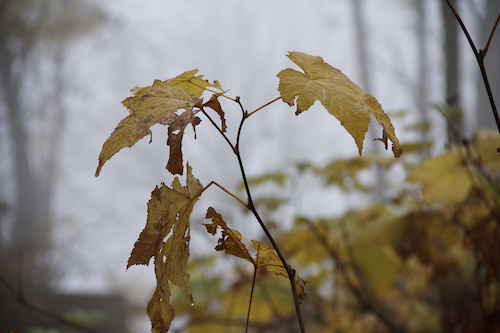 pics I got while filming for "Season's Flow"