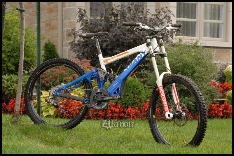 dyna-star on Pinkbike