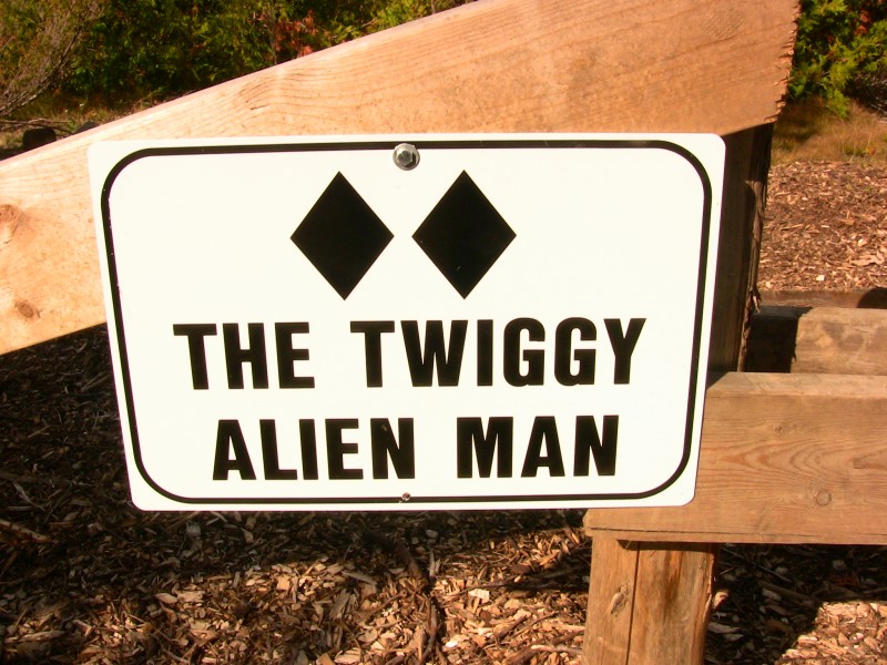 Twiggy Alien