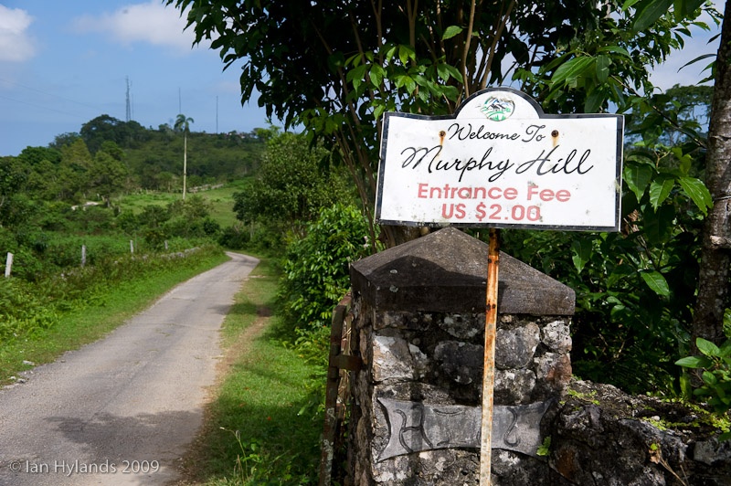 Murphy Hill Jamaica