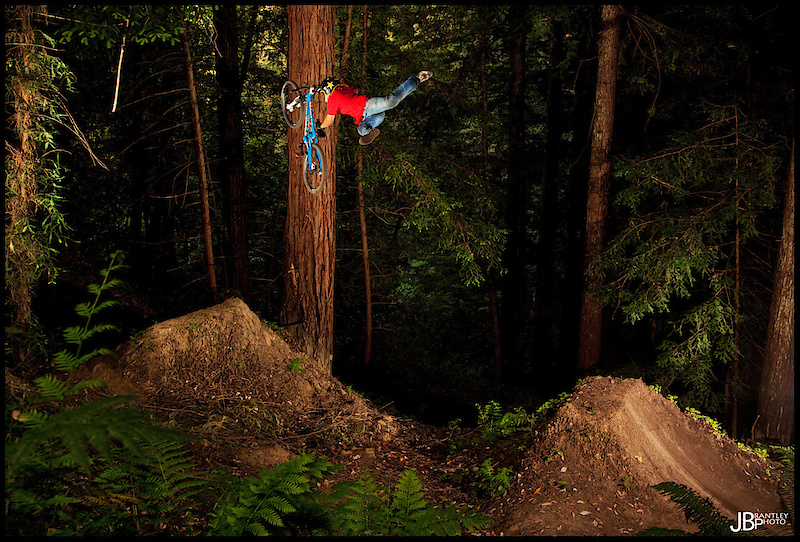 <em>bashie</em> on pinkbike