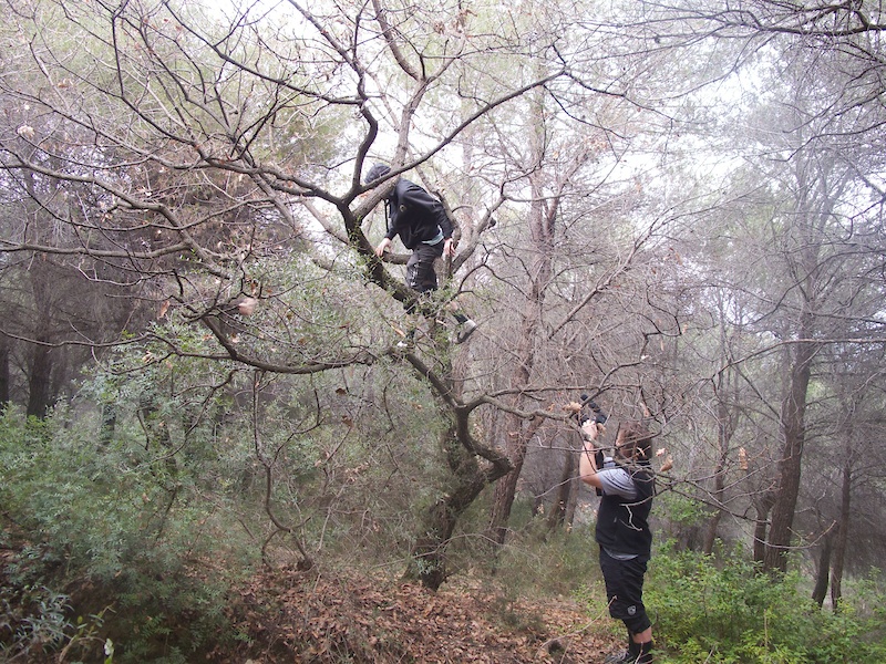 Martin playing a little Tarzan and Jane in the woods! Sure enough the Lahnvalley Crew doesn't shy away from any challenge to bring you the shots!