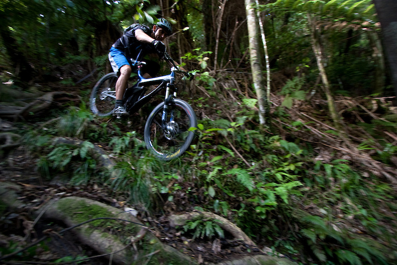 Metz forged new lines down the overgrown entrance. Photo Tony Hutchinson