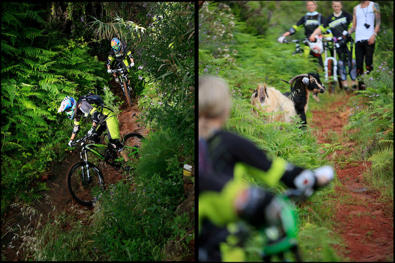 https www.facebook.com TrekGravityGirls Trek Gravity Girls D.Geiger