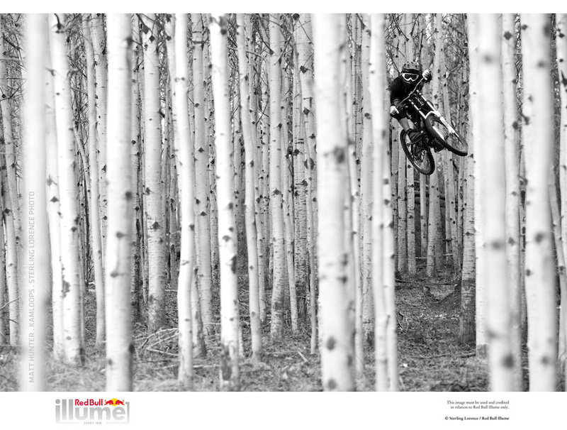 People s Choice Overall Winner Redbull Illume.