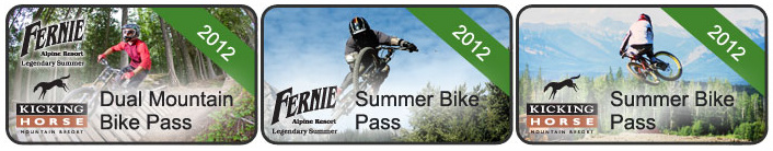 Dual pass logo