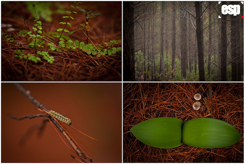 www.esphotography.co.za