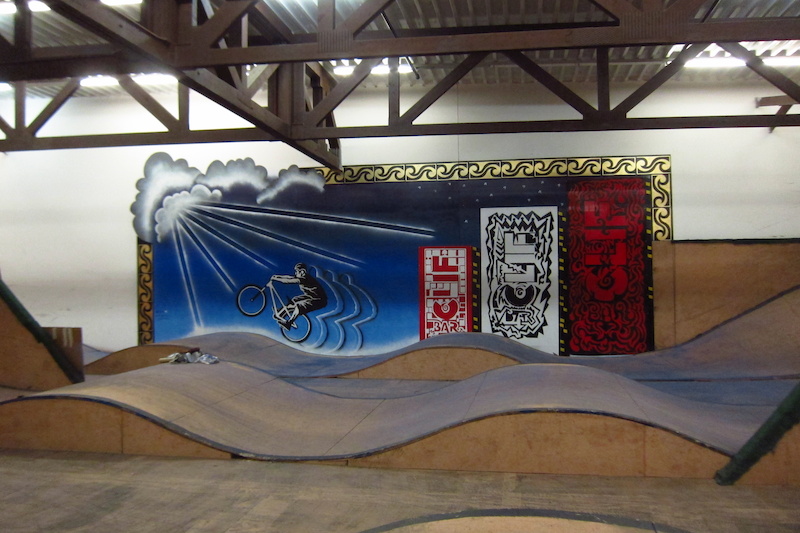 Colin Bailey and Kirt Voreis Rays MTB Mural