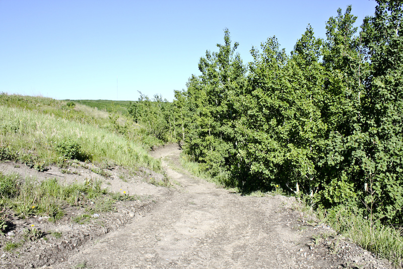 Trail Widening