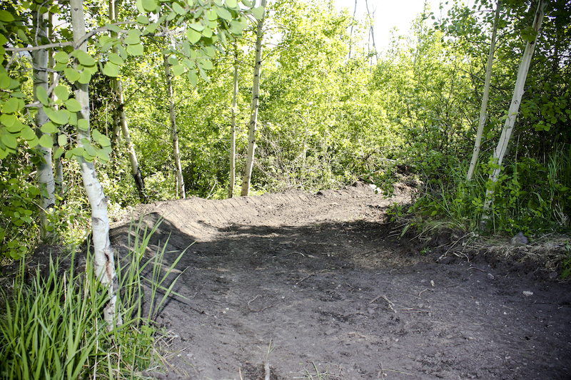 New berm