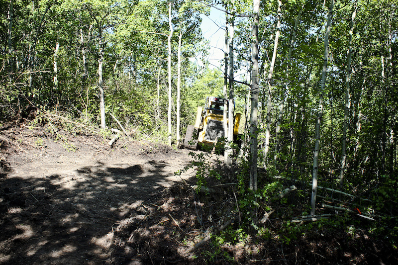 Trail widening in progress