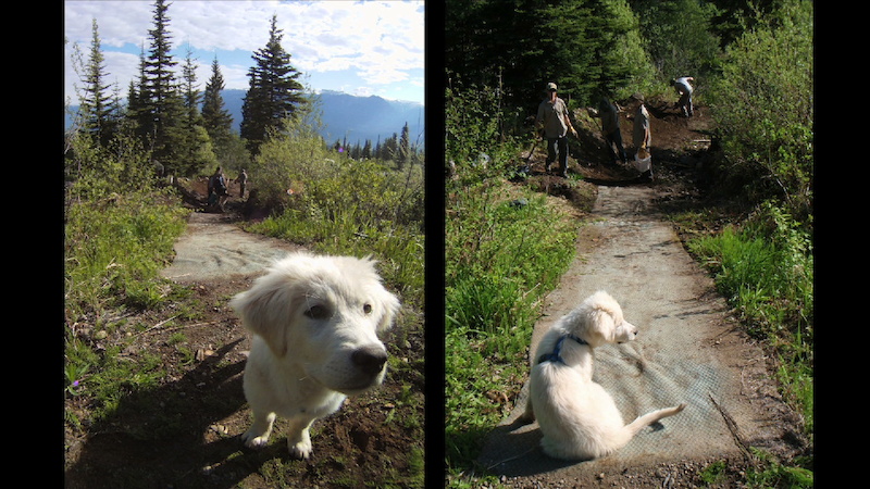 Spring Maintenance at Kicking Horse