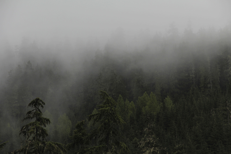 Fog