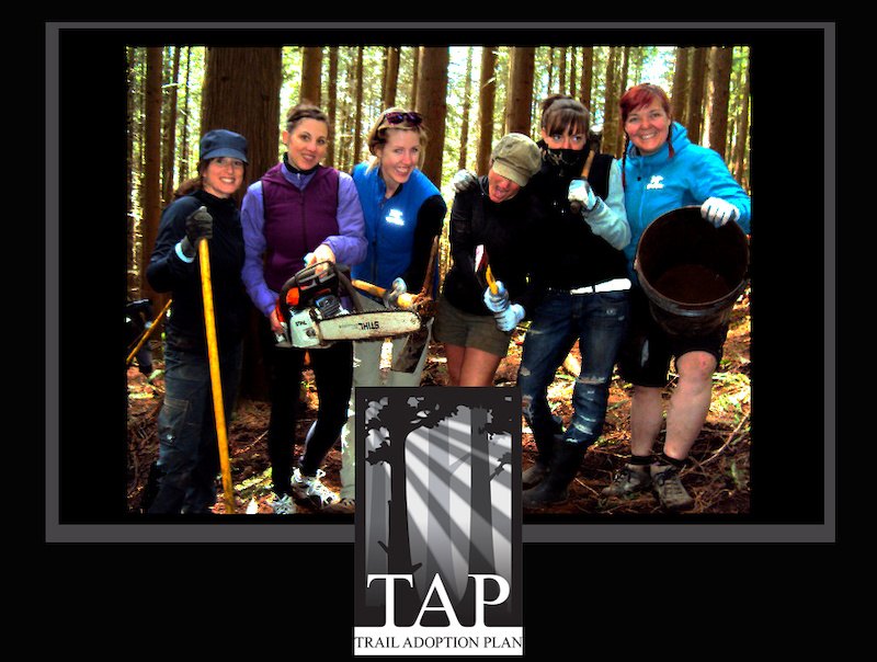 TAP work
