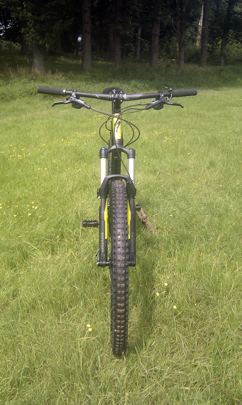 Afbeelding