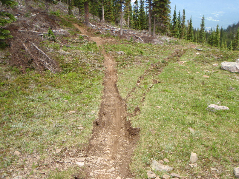 top of the new reroute. Can you tell where the old trail used to go 