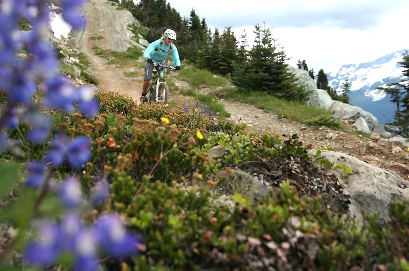Whistler s alpine is the Top of the World