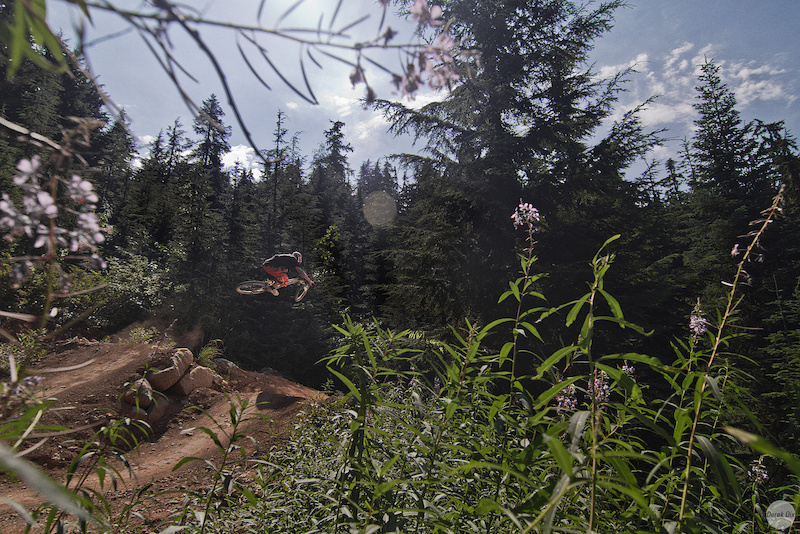 2013 Banshee Wildcard