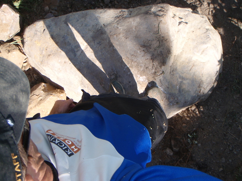 One of the boulders Hobo had to move with the mini-ex.