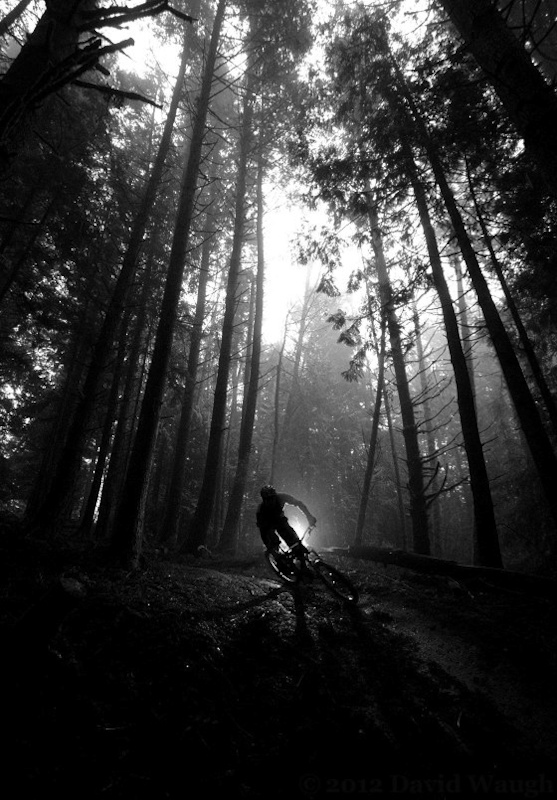 photo by David Waugh