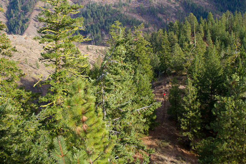 The scenery up in the central Washington mountains is priceless