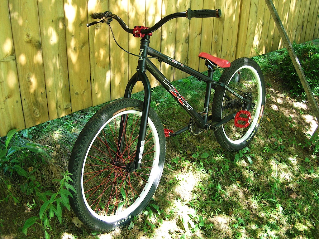 My bike with new freshly painted 2010 NS District High