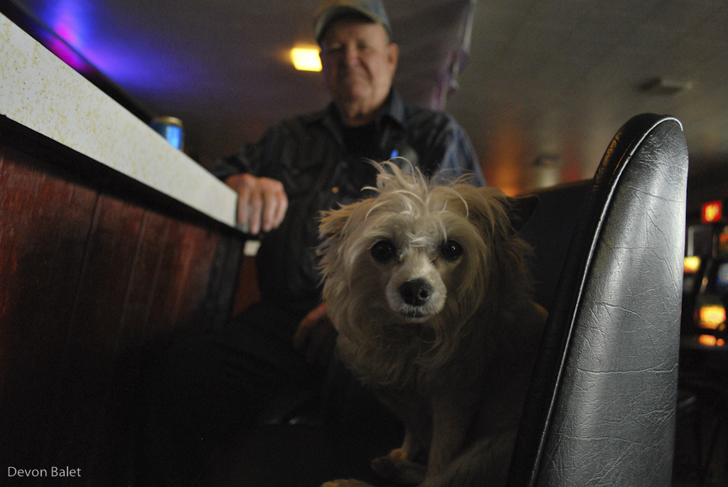 The dog is boss.
