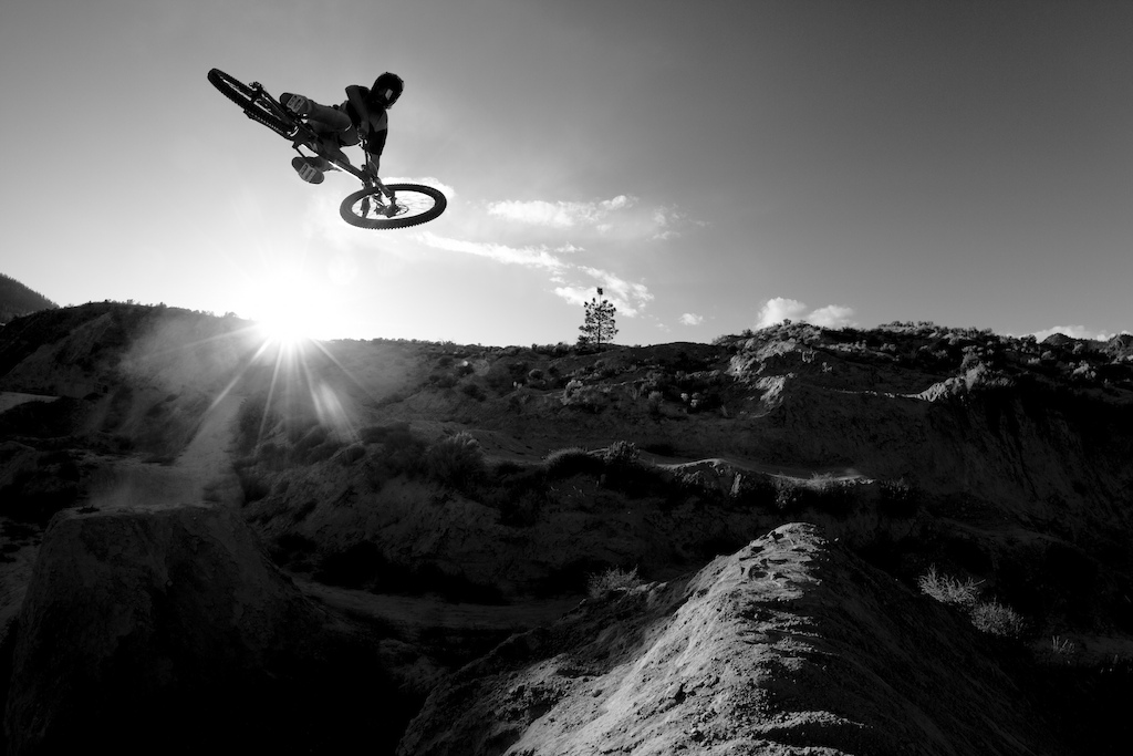 Whip
