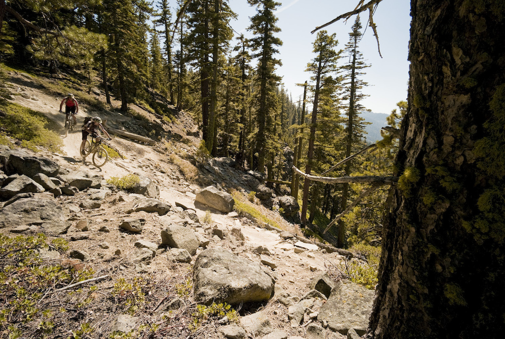 Western states trail in all its wooded glory. Photo by Dan Milner.