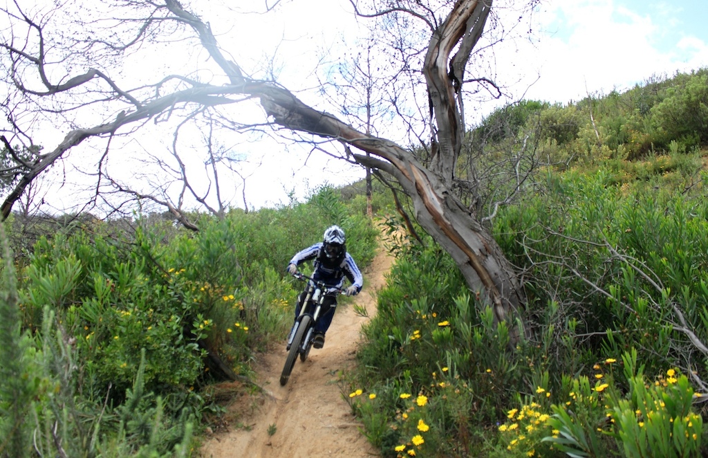 chute, with big brake bumps!