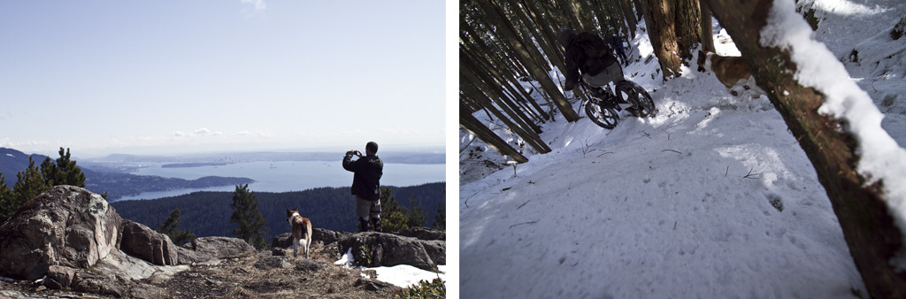 View at the top and the first descent of the trail.