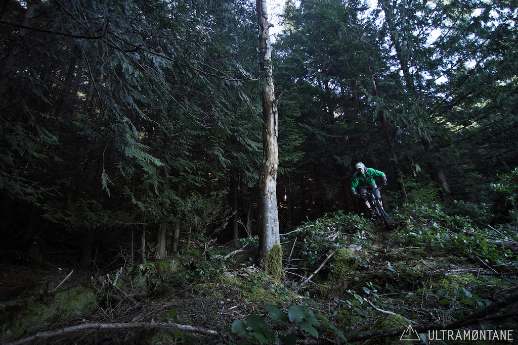 Cornering around an alder snag on a bluff.