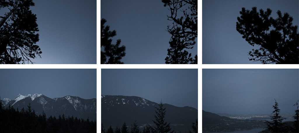 Mountains at dusk and tree tops