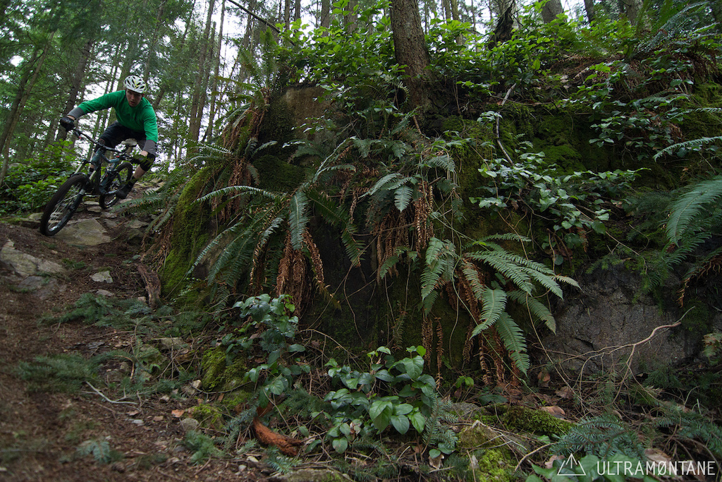 Mossy rock with a corner around it and some ferns growing.