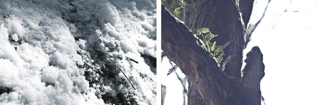 Snow and Sun. Weather really was contrasted in the last two weeks.