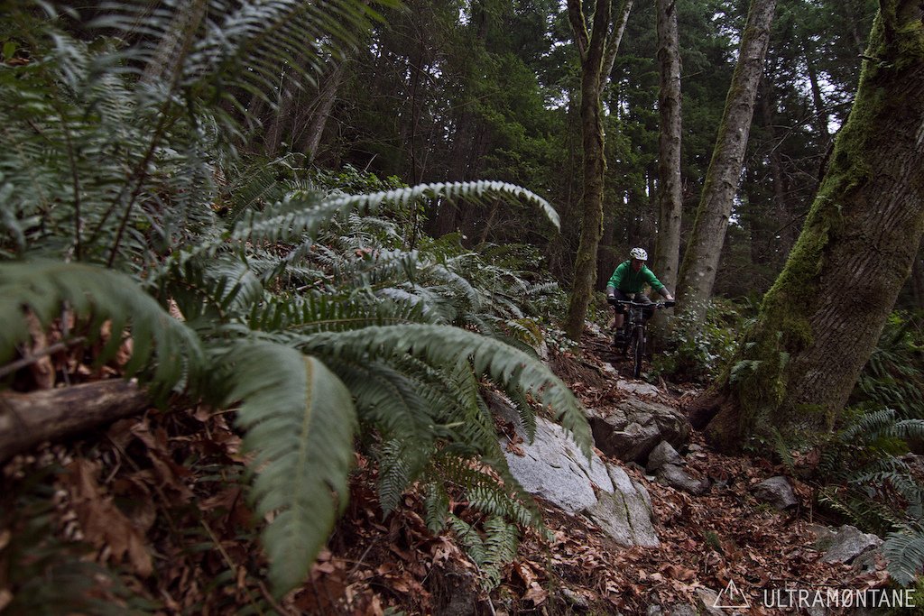 Steep tech section. Ross fell and got a pretty harsh Charlie horse.