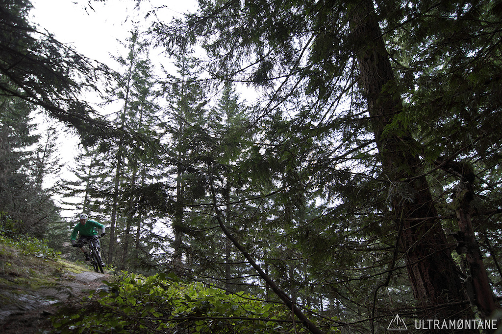 Another bluff with more moss on a different zone.